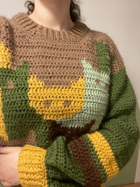Handmade Sweaters - ONE OF A KIND CROCHET CAT SWEATER